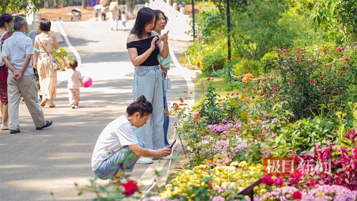 十大菠菜网